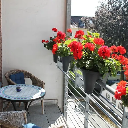 酒店 温索斯特酒店