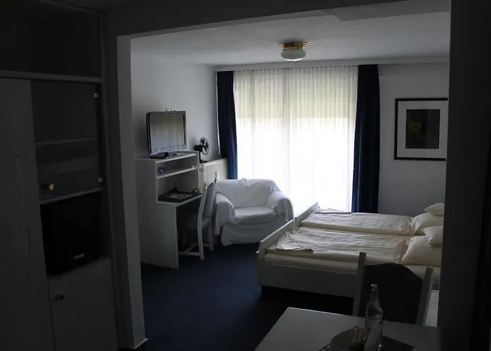 Hotell Windthorst 3*